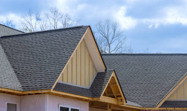 Best Roof Maintenance and Cleaning  in Arlington, TX